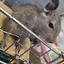 rのプロフィール画像
