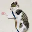 かっちんのプロフィール画像