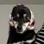 miのプロフィール画像