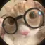 miyuuのプロフィール画像
