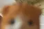 あのプロフィール画像