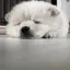 ななのプロフィール画像