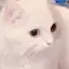 るのプロフィール画像