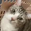 わかなのプロフィール画像