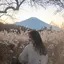 sのプロフィール画像