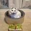 ひよりのプロフィール画像