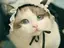 あすのプロフィール画像