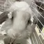 カキのプロフィール画像