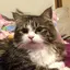 ミュウミュウのプロフィール画像