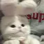 ま?のプロフィール画像