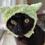 Rのプロフィール画像