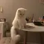 さぼてんのプロフィール画像