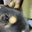nanaのプロフィール画像