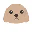 ここゆめのプロフィール画像