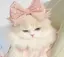 Nのプロフィール画像