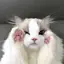 アイのプロフィール画像