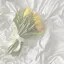 にこのプロフィール画像