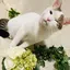 mochiのプロフィール画像