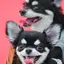 まりものプロフィール画像