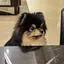 saeのプロフィール画像