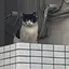 みのプロフィール画像