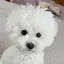 chikatyのプロフィール画像