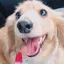 きなこ。のプロフィール画像