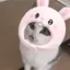 あいりのプロフィール画像