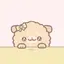 りこのプロフィール画像