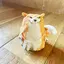ayapoのプロフィール画像