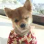 べっきーのプロフィール画像
