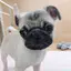 みゆのプロフィール画像