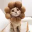 ともこのプロフィール画像