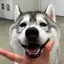 りいのプロフィール画像