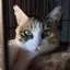 りょうやのプロフィール画像