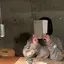 yama.のプロフィール画像