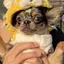 あおいのプロフィール画像