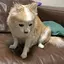みえのプロフィール画像