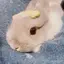 rinのプロフィール画像
