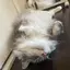 てちおのプロフィール画像