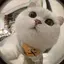 きむちのプロフィール画像