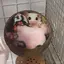 ゆいのプロフィール画像
