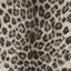 モモカのプロフィール画像