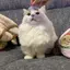 みほのプロフィール画像