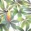 かおりのプロフィール画像