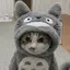 advantageのプロフィール画像