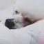 ルナのプロフィール画像
