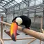 rrのプロフィール画像