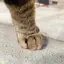 kanaのプロフィール画像
