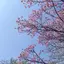 モリひなたのプロフィール画像